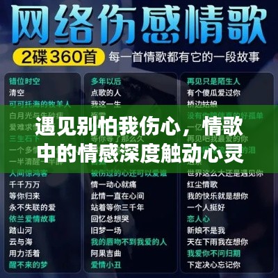 遇见别怕我伤心,情歌中的情感深度触动心灵,百度收录推荐!