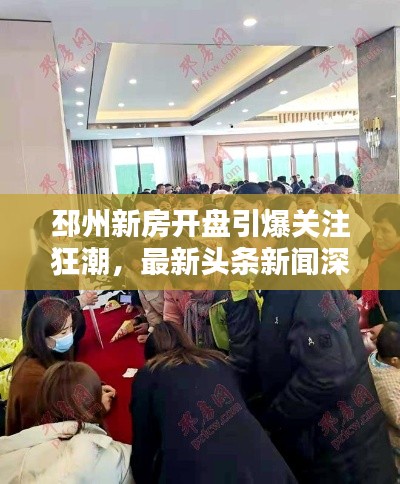 邳州新房开盘引爆关注狂潮,最新头条新闻深度解析