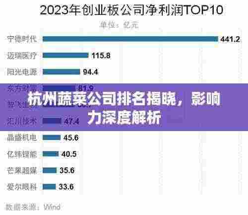 杭州蔬菜公司排名揭晓，影响力深度解析