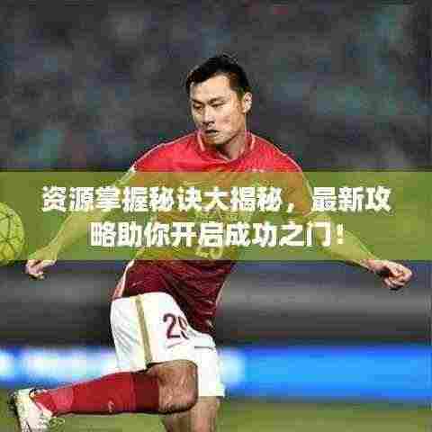 资源掌握秘诀大揭秘,最新攻略助你开启成功之门!