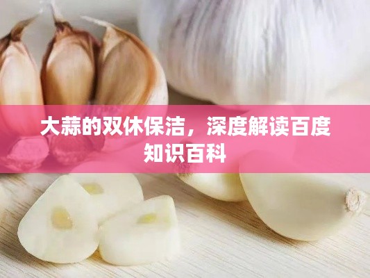 大蒜的双休保洁，深度解读百度知识百科