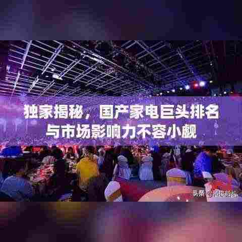 独家揭秘,国产家电巨头排名与市场影响力不容小觑