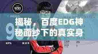 揭秘，百度EDG神秘面纱下的真实身份！