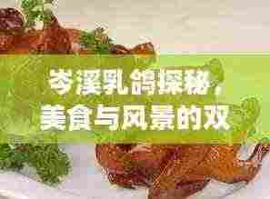 岑溪乳鸽探秘,美食与风景的双重享受旅游攻略