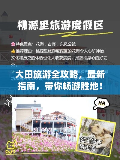 大田旅游全攻略,最新指南,带你畅游胜地!