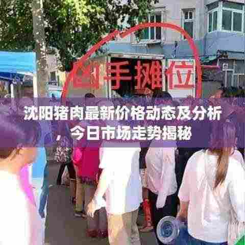 沈阳猪肉最新价格动态及分析，今日市场走势揭秘