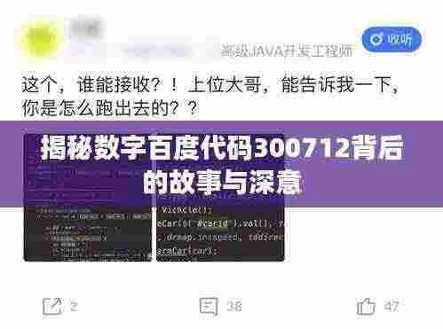 揭秘数字百度代码300712背后的故事与深意