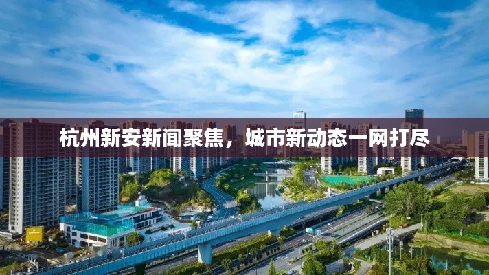 杭州新安新闻聚焦，城市新动态一网打尽