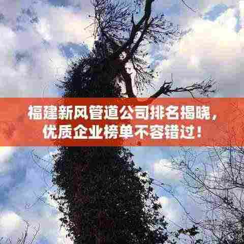 福建新风管道公司排名揭晓，优质企业榜单不容错过！