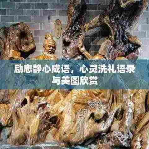 励志静心成语,心灵洗礼语录与美图欣赏