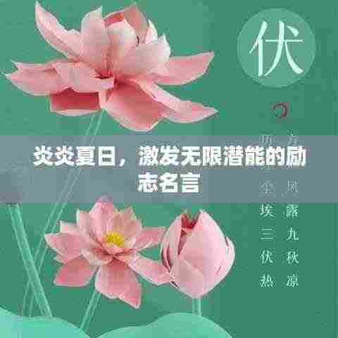 炎炎夏日,激发无限潜能的励志名言