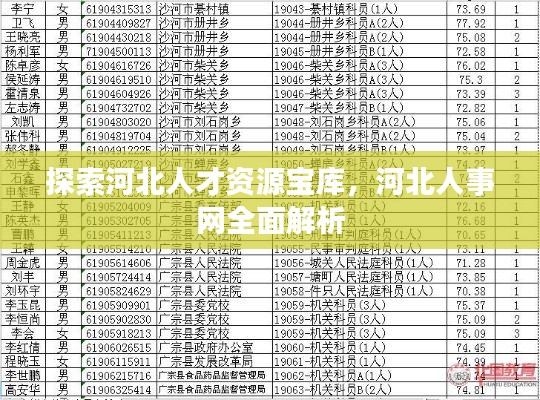 探索河北人才资源宝库,河北人事网全面解析