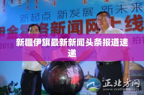 新疆伊旗最新新闻头条报道速递