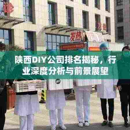 陕西DIY公司排名揭秘，行业深度分析与前景展望