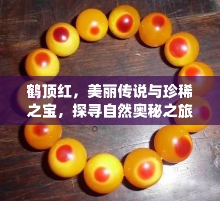 鹤顶红，美丽传说与珍稀之宝，探寻自然奥秘之旅！