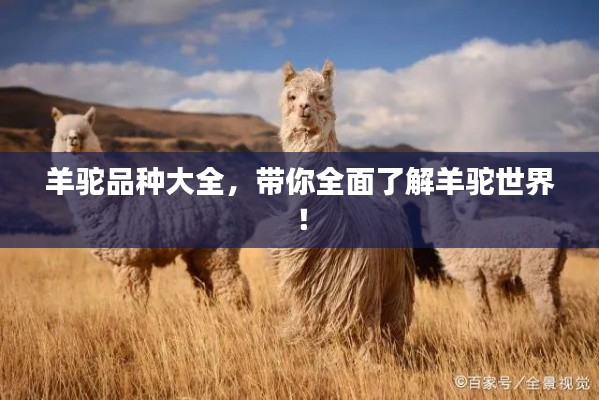 鸟声兽心 第3页