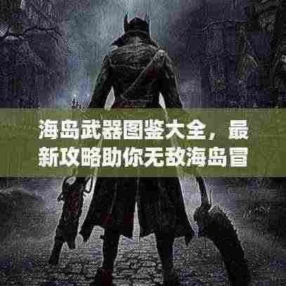 海岛武器图鉴大全，最新攻略助你无敌海岛冒险之旅！