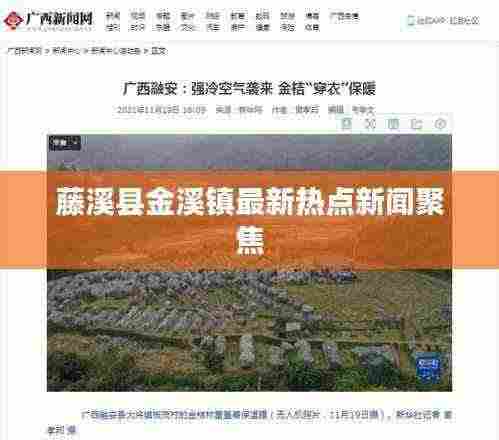 藤溪县金溪镇最新热点新闻聚焦