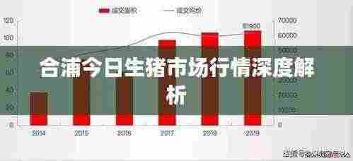 合浦今日生猪市场行情深度解析