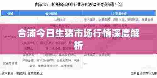 合浦今日生猪市场行情深度解析