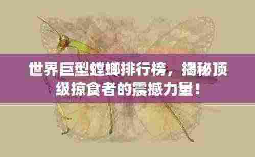 世界巨型螳螂排行榜,揭秘顶级掠食者的震撼力量!