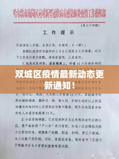 螓首蛾眉 第2页