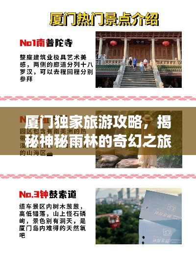 厦门独家旅游攻略，揭秘神秘雨林的奇幻之旅！