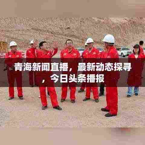 青海新闻直播,最新动态探寻,今日头条播报