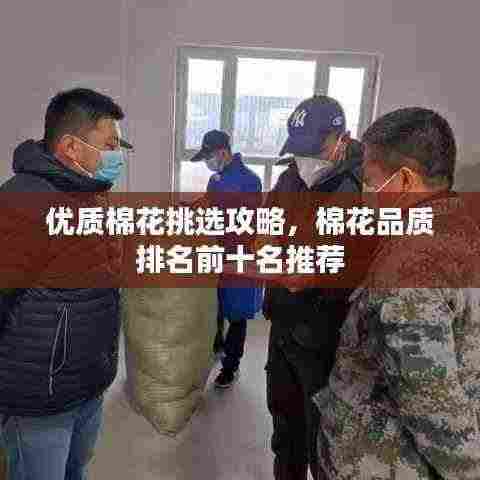 优质棉花挑选攻略,棉花品质排名前十名推荐