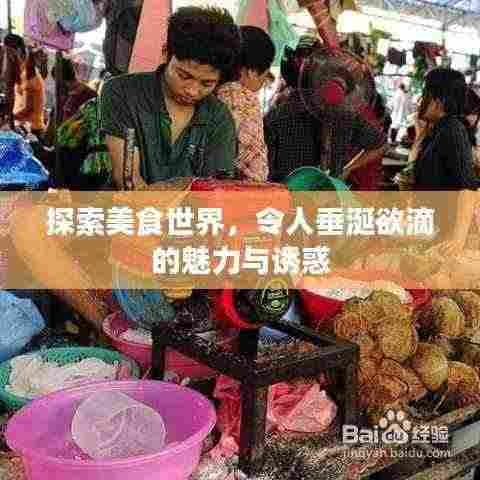 探索美食世界,令人垂涎欲滴的魅力与诱惑