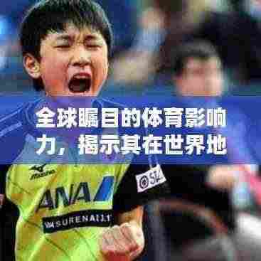 全球瞩目的体育影响力,揭示其在世界地位的独特重要性