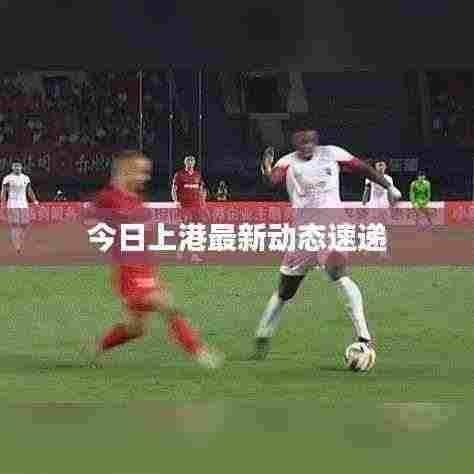 今日上港最新动态速递