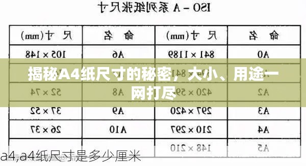 揭秘A4纸尺寸的秘密，大小、用途一网打尽