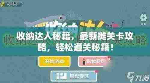 收纳达人秘籍，最新摊关卡攻略，轻松通关秘籍！