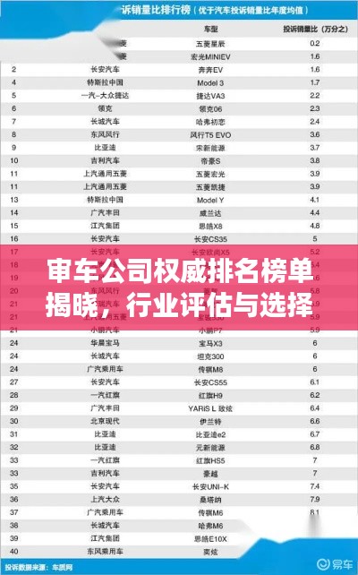 审车公司权威排名榜单揭晓，行业评估与选择指南