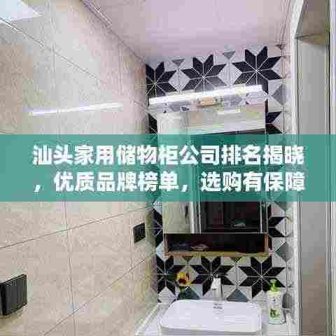 汕头家用储物柜公司排名揭晓,优质品牌榜单,选购有保障!