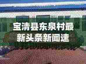 宝清县东泉村最新头条新闻速递