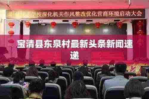 宝清县东泉村最新头条新闻速递