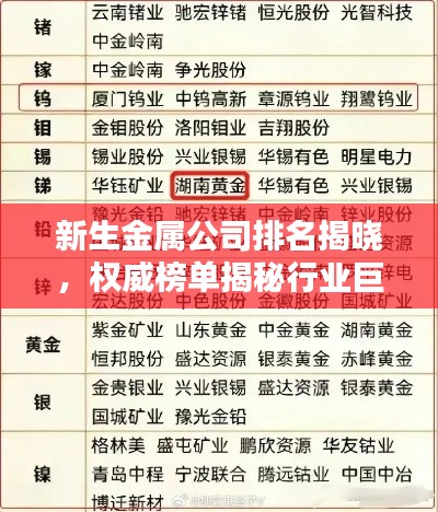 新生金属公司排名揭晓,权威榜单揭秘行业巨头!