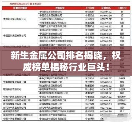新生金属公司排名揭晓,权威榜单揭秘行业巨头!