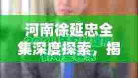 河南徐延忠全集深度探索,揭开未知之谜