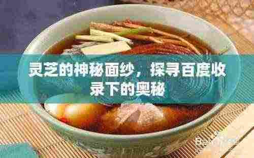 灵芝的神秘面纱,探寻百度收录下的奥秘