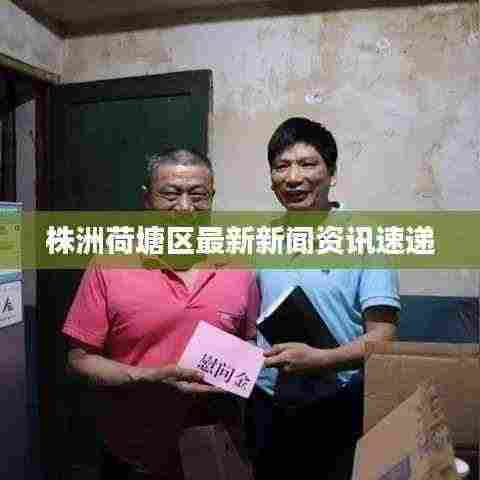 株洲荷塘区最新新闻资讯速递