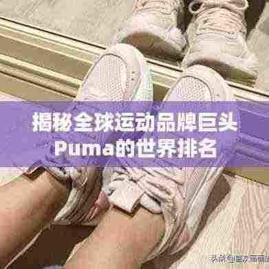 揭秘全球运动品牌巨头Puma的世界排名