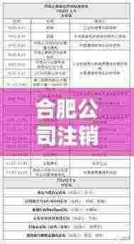 合肥公司注销排名TOP及服务详解,专业可靠的企业注销服务推荐