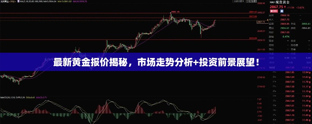 最新黄金报价揭秘,市场走势分析+投资前景展望!