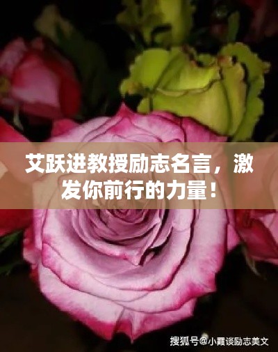 艾跃进教授励志名言，激发你前行的力量！