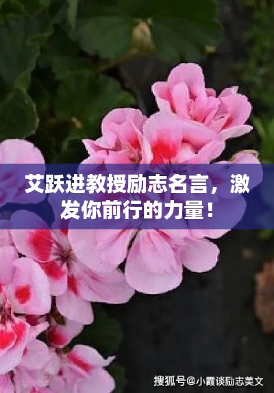 艾跃进教授励志名言,激发你前行的力量!