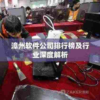 漳州软件公司排行榜及行业深度解析