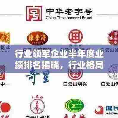 行业领军企业半年度业绩排名揭晓,行业格局与公司实力大揭秘!